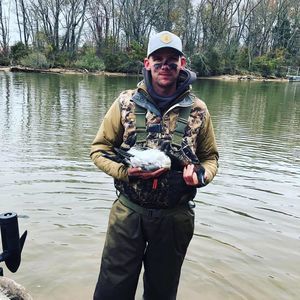 Meet your Posher, Joey